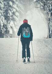 Back view of a woman skier with a backpack on a ski slope in Carpathian Mountains Romania.