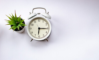 a white alarm clock and a green potted plant on a bright background