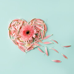 Heart made with gerbera flower and pink petals on pastel mint background. Minimal Valentine's Day, wedding, dating, spring or love concept. Flat lay, top view.