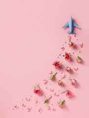 Travel concept with white blue airplane, flowers and petals on pink background. Minimal love, romance, trip or vacation concept. Top view, flat lay, copy space.