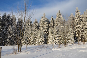 Unterwegs in Ernstthal am Rennsteig
