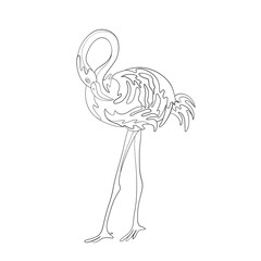 Pink flamingo. Coloring book page. Vector illustration