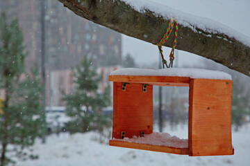 Bird feeder in the winter park.