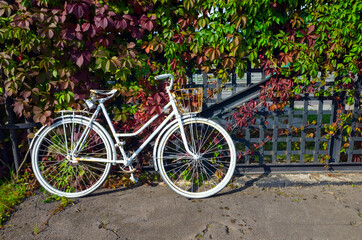 Fototapeta na wymiar White vintage bicycle stands near old metal grate