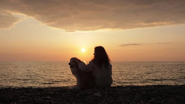 Silhouette of girl sitting on beach with her dog border collie, watching colorful sky in sunset with beautiful cloud horizon and yellow sun