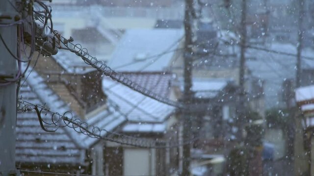 日本の住宅地に降る雪