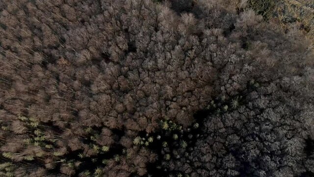 g&oacute;ry zimą z lotu ptaka, Beskid Śląski, R&oacute;wnica w Ustroniu. Polska