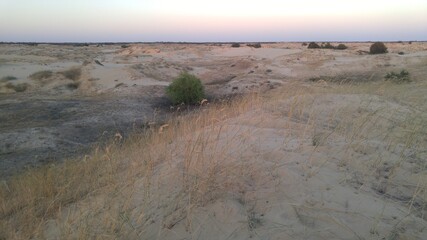 sand dunes in the desert