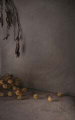 Dried flowers and black alder tree branches with male catkins against concrete wall. Dried wild flowers and fresh branches in winter time indoor with copy space.