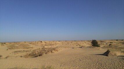Fototapeta na wymiar dunes in the desert