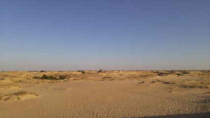 dunes in the desert