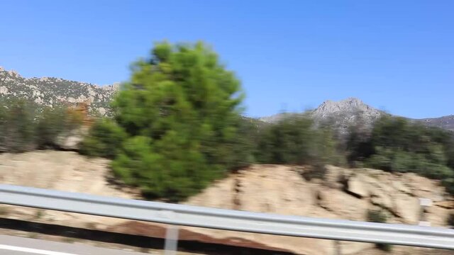 Nature seen from a moving car