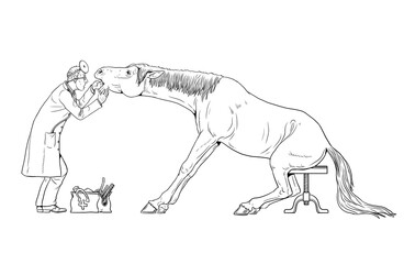 Veterinarian examines the horse. Dentist for the horse. Outline drawing.
