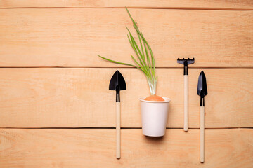 Garden shovels on a wooden background .Gardening layout. Plant care. Planting plants. Homemade flowers. Garden flowers and plants. Preparation for the summer season. Copy space.