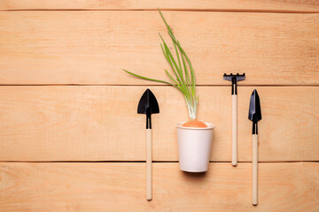 Garden shovels on a wooden background .Gardening layout. Plant care. Planting plants. Homemade...
