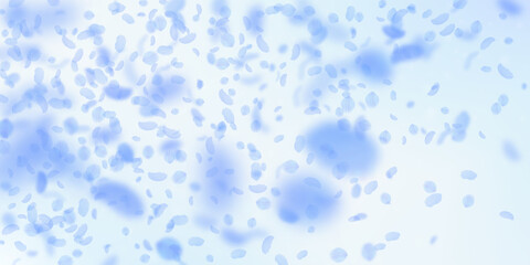 Dark blue flower petals falling down. Ravishing ro