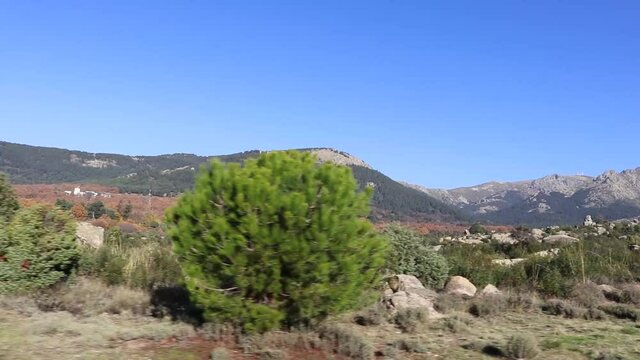 View of the natural park from a moving car