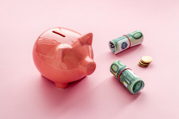 Investment concept. Piggy bank with money, close up