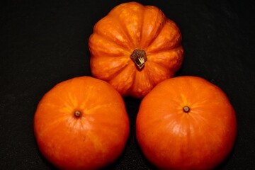 
AUTUMN PUMPKIN HARVEST FOR HALLOWEEN HOLIDAY