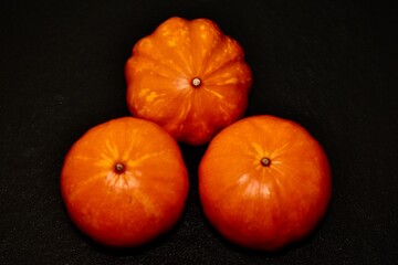 
AUTUMN PUMPKIN HARVEST FOR HALLOWEEN HOLIDAY