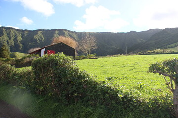 Azores Landscape