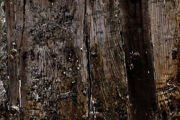 old vintage rustic wood timber tree wooden surface wallpaper structure texture background