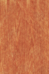 Naklejka premium pine tree timber wood surface wallpaper structure texture background