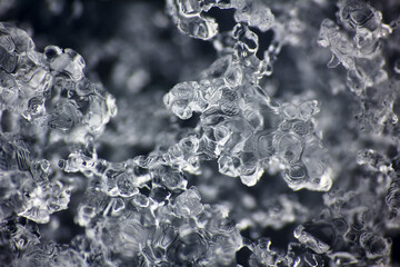 Hoarfrost on branches. Ice crystals