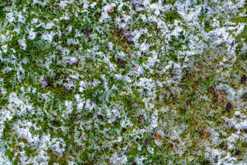 Snow texture on green grass outdoors.

