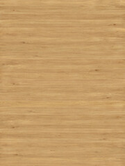 hornbeam wood tree timber background texture structure backdrop