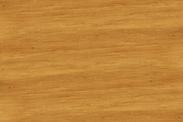 hornbeam wood tree timber background texture structure backdrop