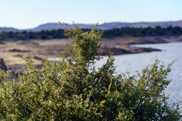 Lake with clouds, blue sky and reflections in the water. Atazar Reservoir Madrid
