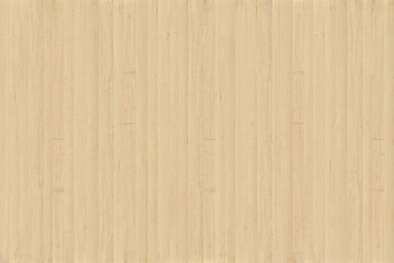 maple tree timber background texture structure surface