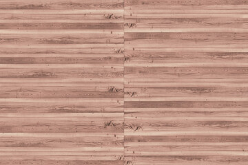 maple tree timber background texture structure surface