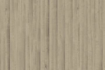 Fototapeta na wymiar grey maple wood timber background texture structure surface