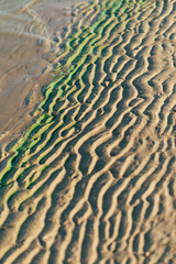 waves in the sand, parts of the image have green algae