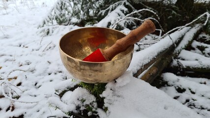 Singing bowl in snow static