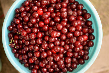 Ripe cherries in a container