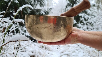 Singing bowl in snow static