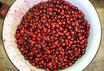 
Background of fresh ripe pitted cherries