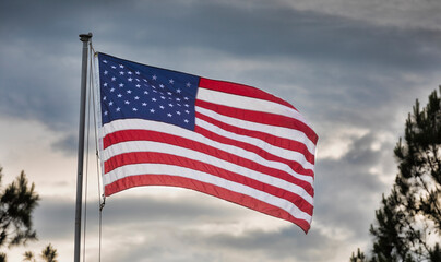 American flag above the trees