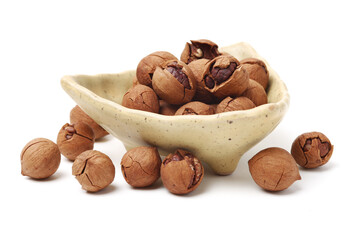 shagbark hickory nuts on white background