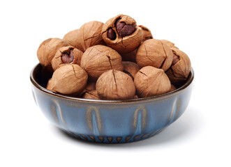 shagbark hickory nuts on white background