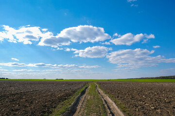 Fototapeta na wymiar Dirt road and cultivated land prepared for sowing. Agriculture concept. Copy space.