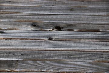 old vintage rustic grunge wood surface