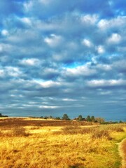 Sylt Natureporn