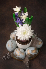 Fototapeta na wymiar Easter Decoration with gray golden eggs, quail feathers, hyacinth daisy flowers on dark wooden background.