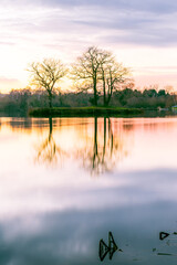Fototapeta na wymiar Trees reflected at Broadwater