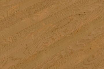 Fototapeta premium birch wooden background texture structure backdrop