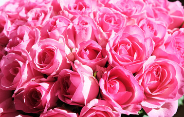 Large bouquet of pink roses